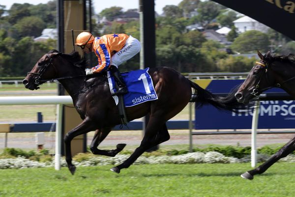 Business as usual as Richards gets ready for new season