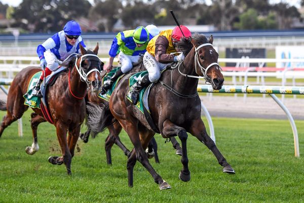 Tavistock fillies salute at Geelong