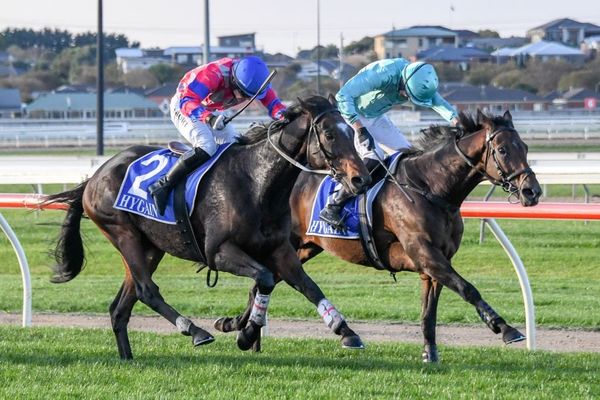 Gobstopper wins Galleywood