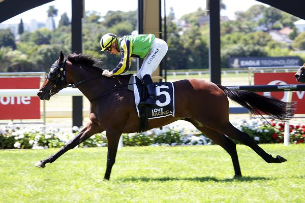 Gundown ready to fire third-up