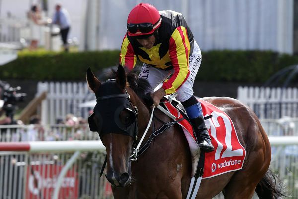 Hannam happy to be back in saddle
