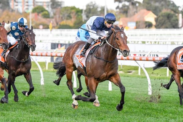 Warrnambool life agreeing with Heptagon