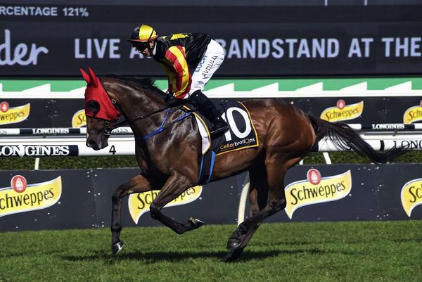 Kiwi mare wins Wagga Wagga Gold Cup