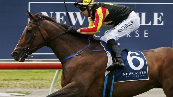 House Of Cartier out to add Gosford Cup
