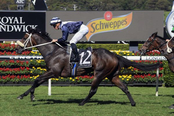 Caulfield Cup a spring target for Kinane