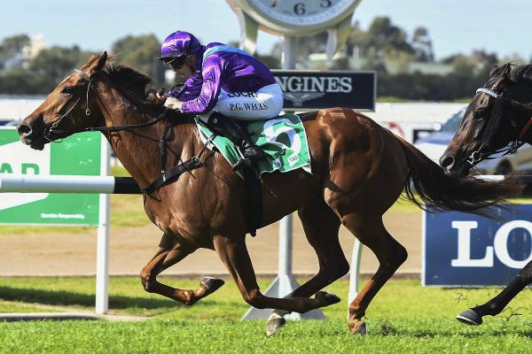 Drying track a sorry sight for Turner