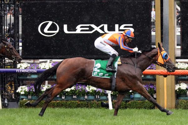 Te Akau’s Australian team resume