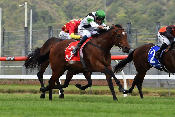 Blinkers the option for JJ Atkins hope