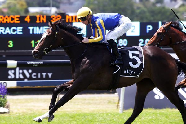 Tiley taking aim at summer features with Play That Song