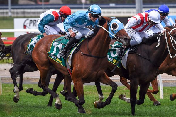 Saint Eustace primed for Derby tilt