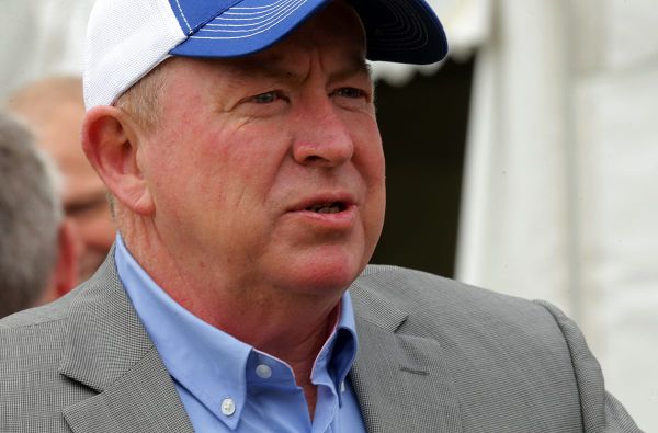 Domestic travel opens