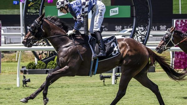 Shalwa after value-boosting win at Doomben