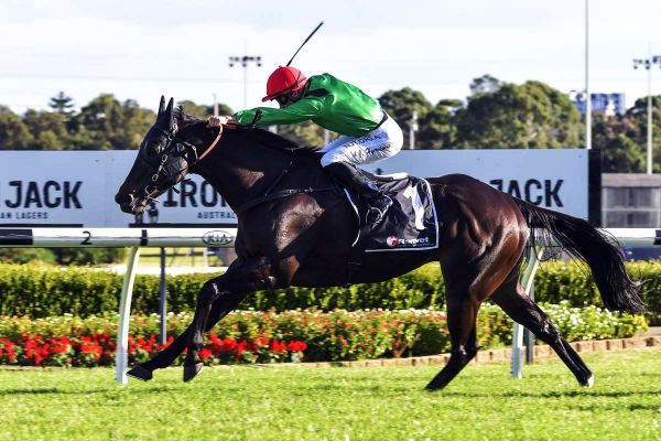 Baker keen on prospects of new stable addition