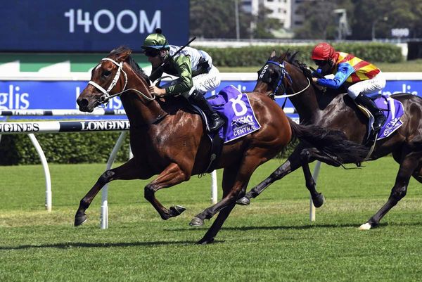 Stakes targets for Subpoenaed