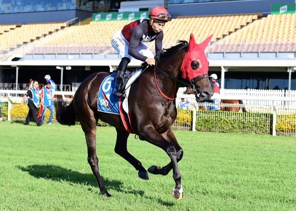 Costa takes giant steps to Gunsynd Classic