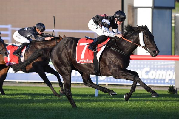 Dwyer chasing Warrnambool Cup win with Leopard