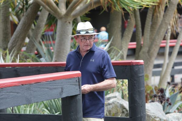 Realistic Tiley reshaping business