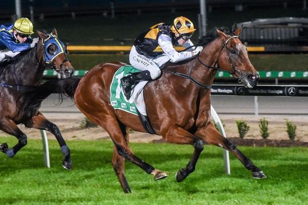 Victoria Star set for Winter Champ Final