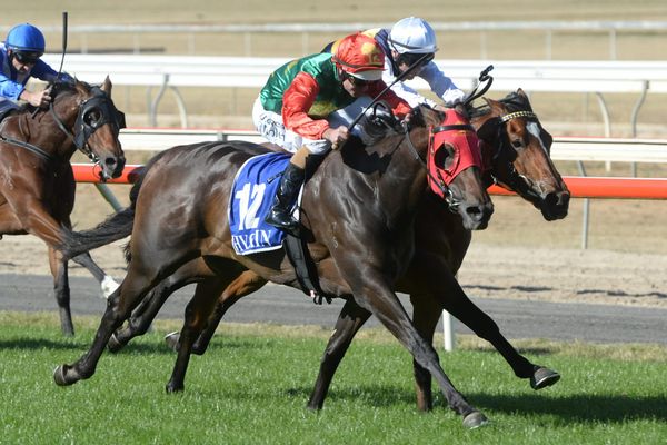SA Derby tilt for Zayydani