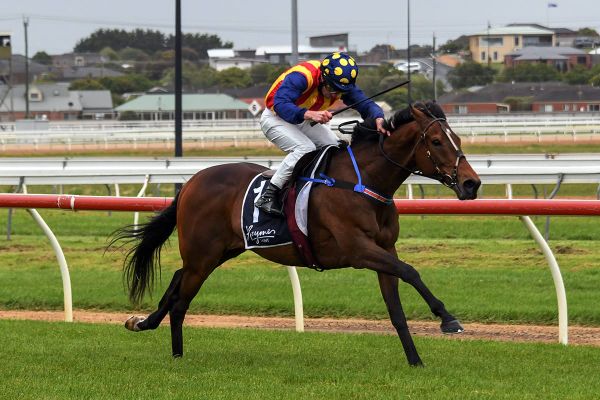 Ablaze to contest Stayer’s Cup