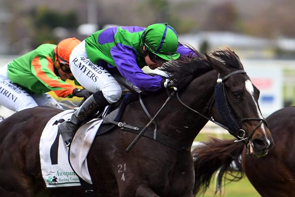 More than a flash, but Opie keen to be back