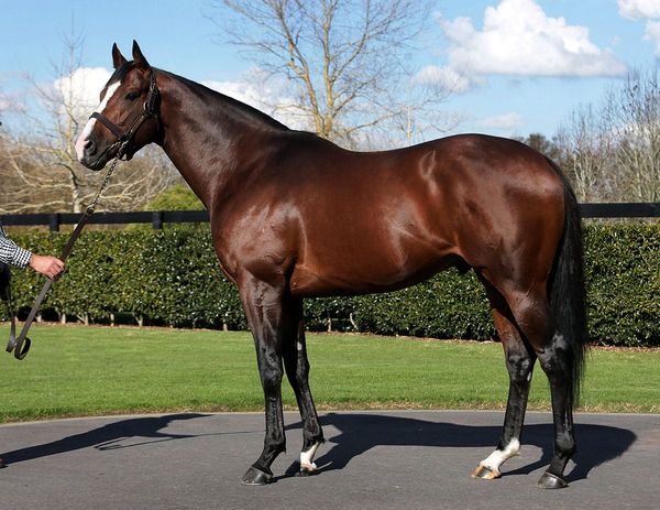 Belardo makes presence felt in both  hemispheres