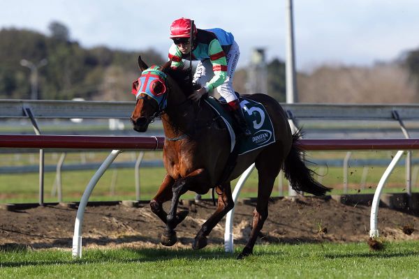 Ciao Italy, Kia Ora Pukekohe