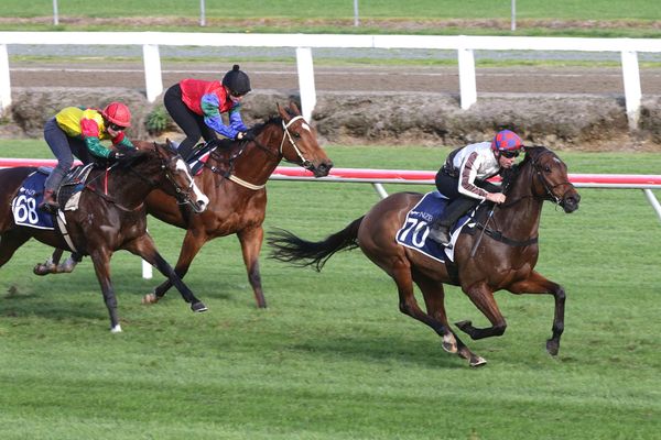 Forward showing from Pike team at Te Rapa hit-out