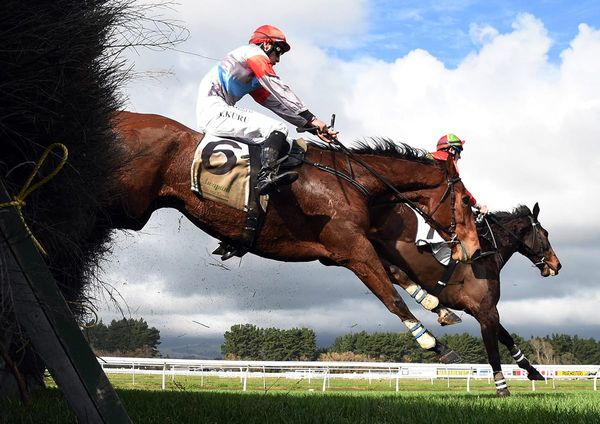 Jumping maestro back in action