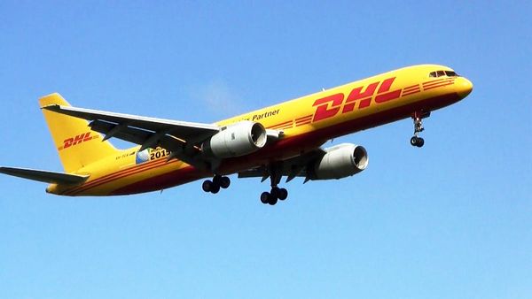 Equine exports resume