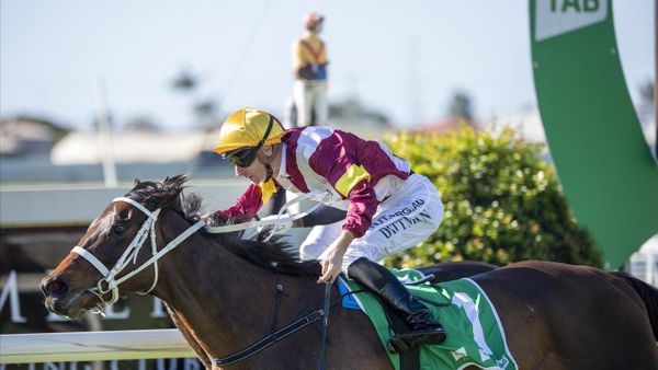 Kiwi-bred mare scores another stakes win