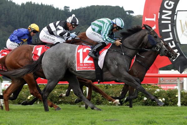 Group Two winner primed for return