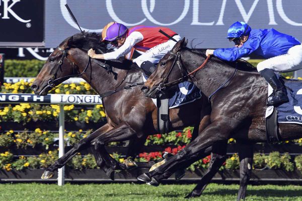 Exhibition adds to the Freedmans' 2YO haul