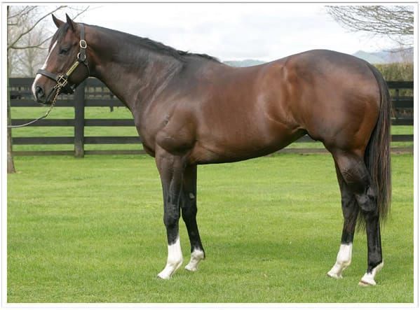 Windsor Park bids farewell to Falkirk