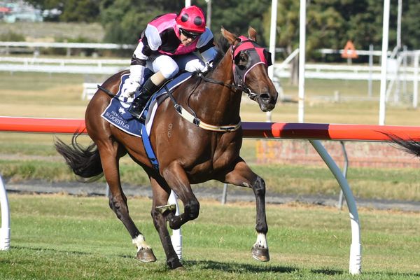 Oaks performer heads across the Tasman