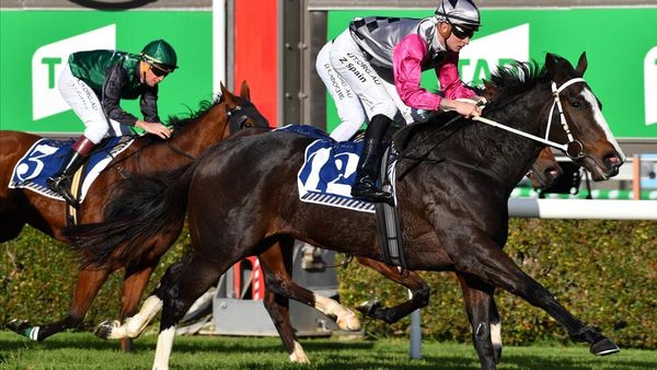 Flemington expected to suit Zacinto mare