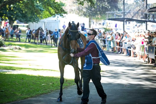 Proposed changes to Racing Industry Bill