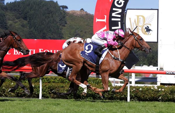 Autumn targets for My Gold Bracelet