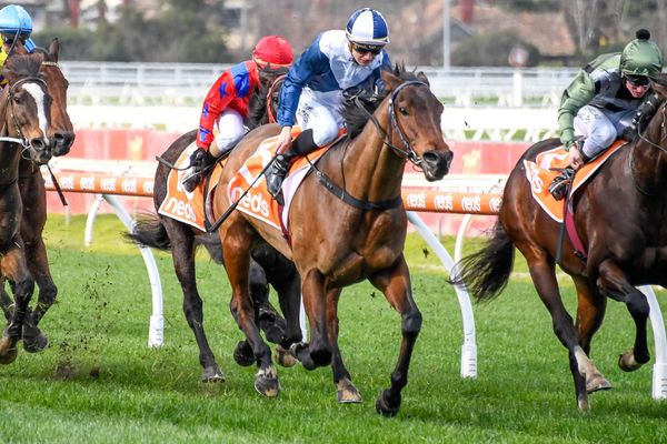 Gritty Caulfield win for Heavenly Emperor