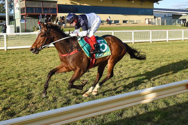 Another country cup for Heptagon