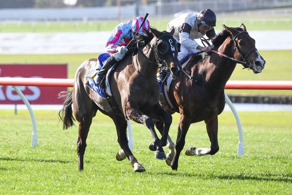 NZ-breds to the fore at Sandown
