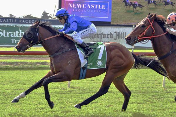 Jeronimos to relish distance rise