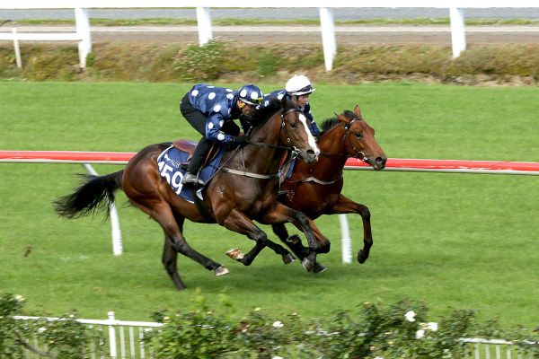 Entries extended for Ready To Run sale