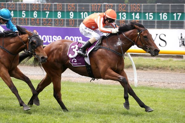 Williams team recharged ahead of spring attack