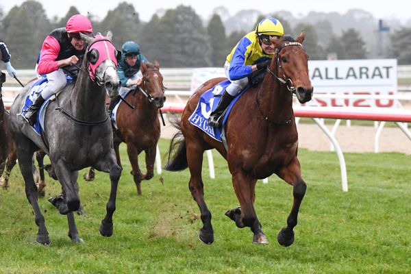 Spicer keen on Kiwi imports