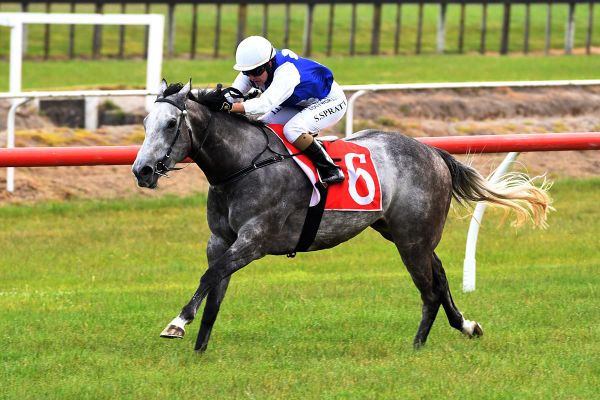 Oliveira rapt with solid season