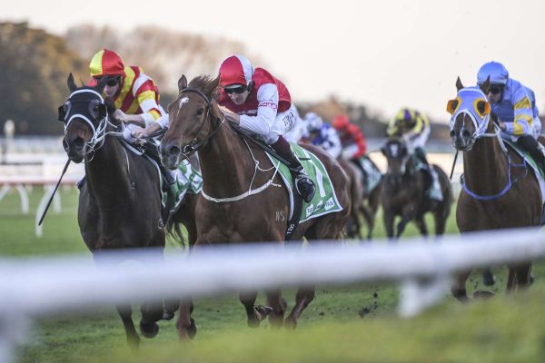 Opacity to have short break before spring