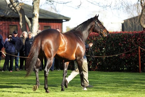 Brighthill Farm offer unique incentives for breeders