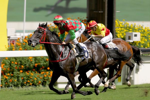 Purton to partner Regency Master