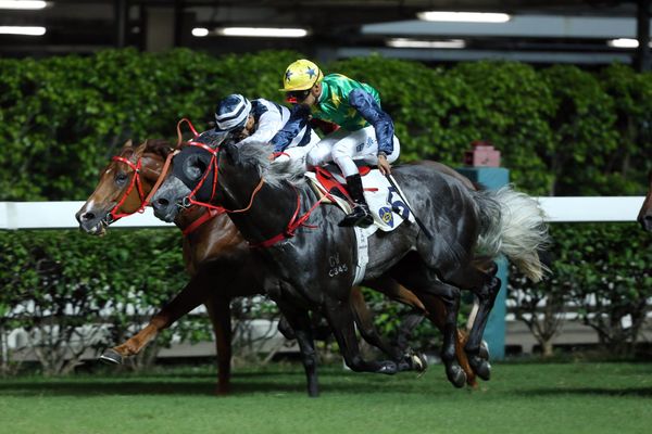 Teetan bags a birthday brace